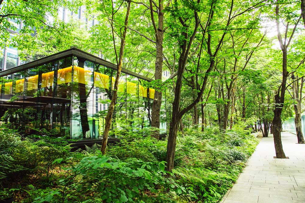 アマン東京、アマネム、アマン京都 2022年夏シーズンの森をテーマにした宿泊プランとアクティビティを販売開始