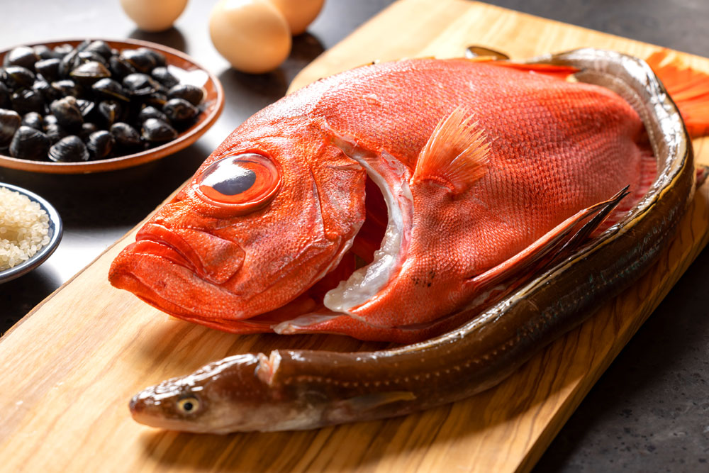 島根県で取れる魚介類は、地穴子やしじみ、のどぐろをはじめ、鰆、カレイに牡蠣など多岐に渡り、同地は海産物の宝庫だ。これら滋味あふれ新鮮な食材が、“GARB”流に料理されて提供されている