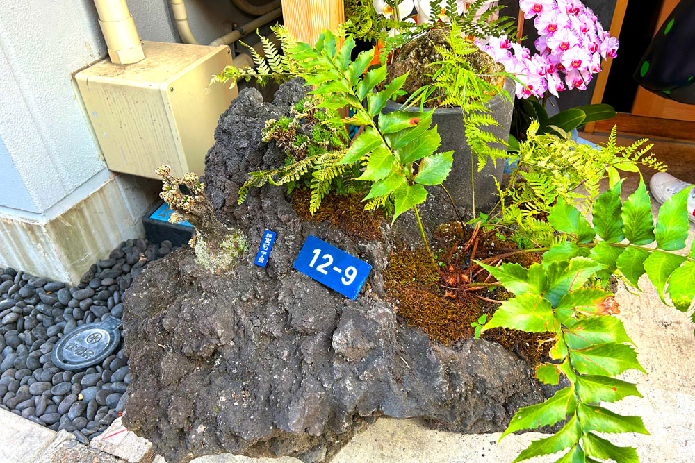 植栽に使われている石にしつらえられた住居表示。ちょっとしたことに遊びごごろとセンスがあるのも「CENSU」を訪れる楽しさだ