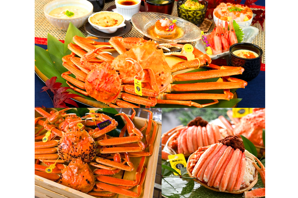 越前がにと三国港温泉で誘う冬旅の魅力~DMOさかい観光局の取り組み~