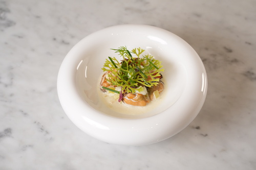 前菜「“予感” ムール貝とヴィシソワーズ」