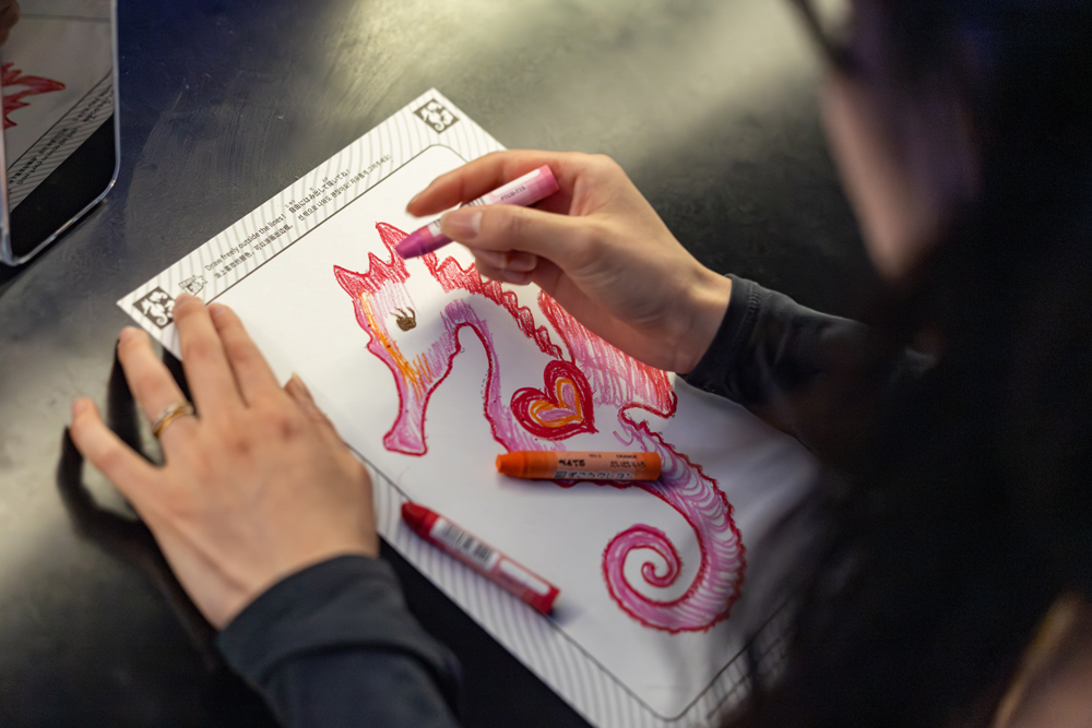 《スケッチオーシャン》で参加者がクリエイティブジャーナリングを行なう光景。描いた海の生き物は、同じ麻布台ヒルズ内にある「スケッチファクトリー」で、缶バッジやハンドタオル、Tシャツ、トートバッグ、ペーパークラフトなどにプリントしてプロダクトとして持ち帰ることもできる