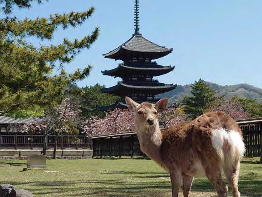 奈良県宿泊施設立地セミナー 2024年11月開催