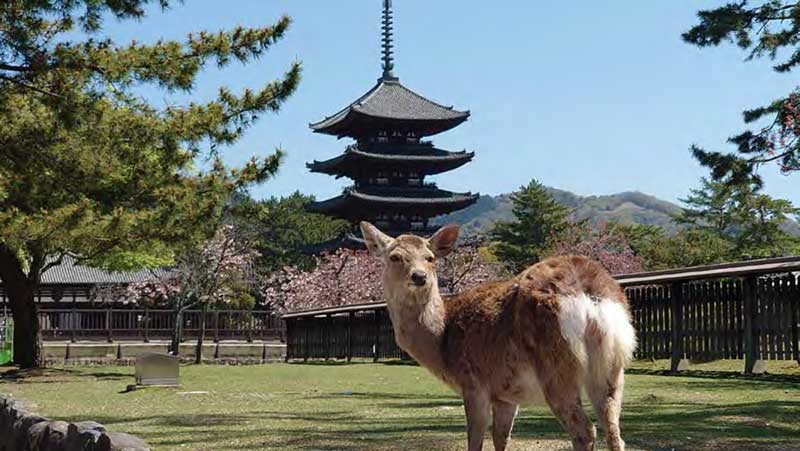 REPORT　奈良県宿泊施設立地セミナー2024 in 東京